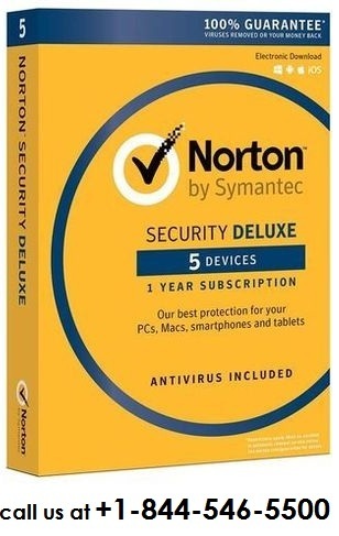 norton 2.jpg